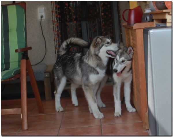 Lines 7-2010 071.jpg